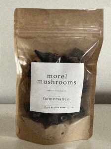 Morel mushrooms dried